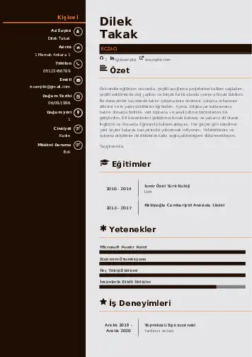 Eczacı CV Örnekleri cv indir